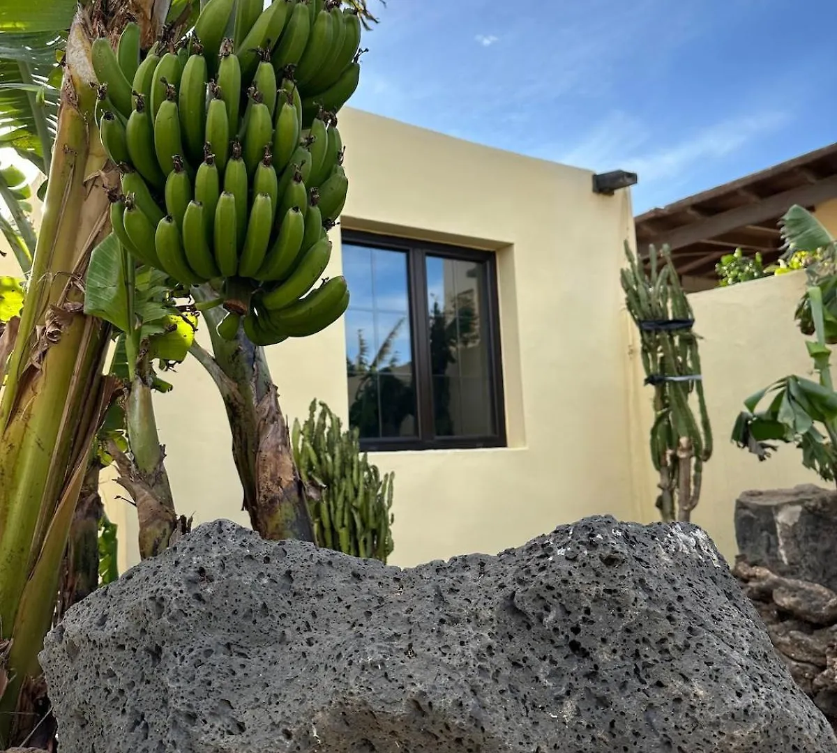 Cozy Canarian Guesthouse With Large Garden Teguise  Teguise (Lanzarote)