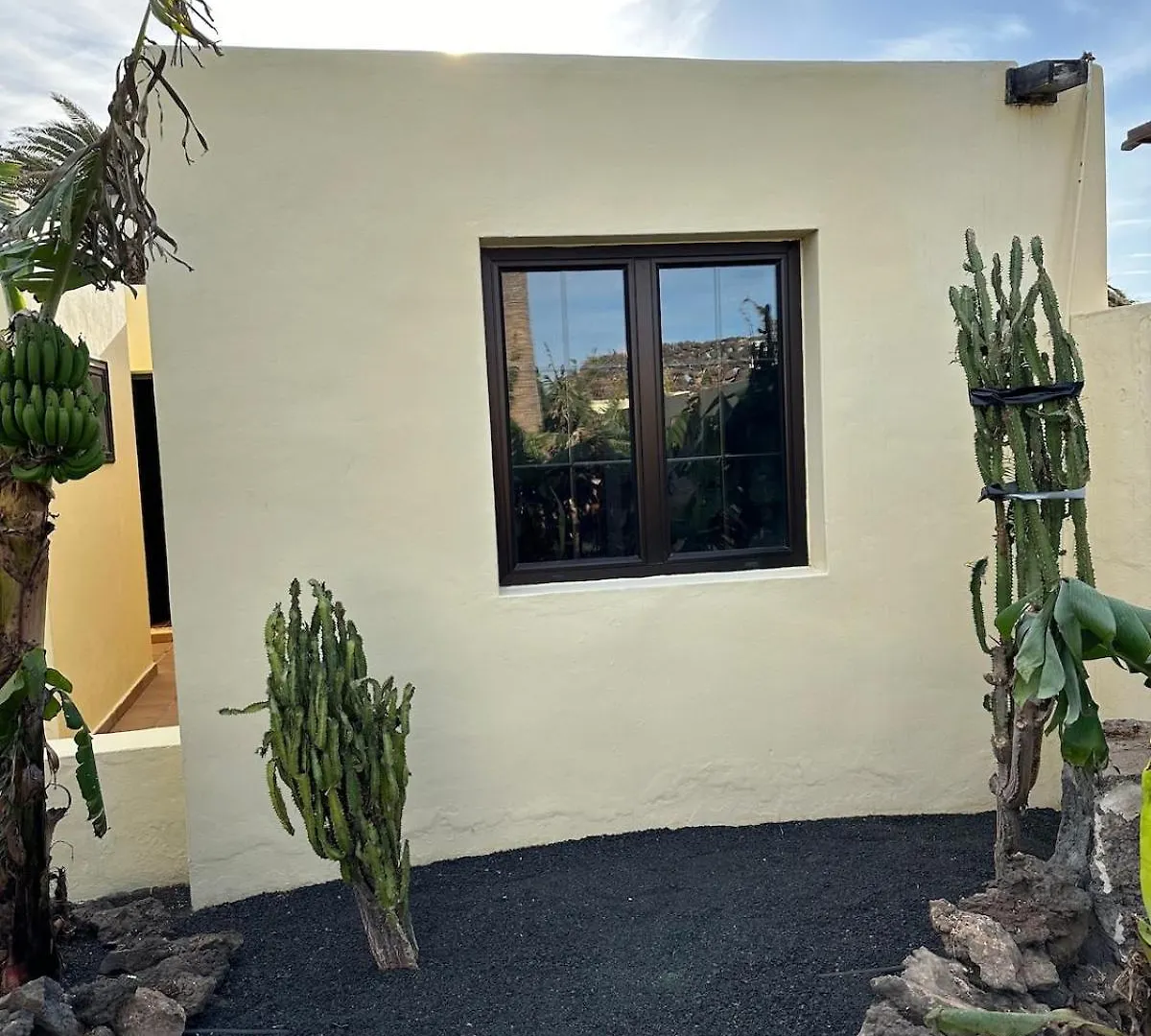 Cozy Canarian Guesthouse With Large Garden Teguise  Apartamento