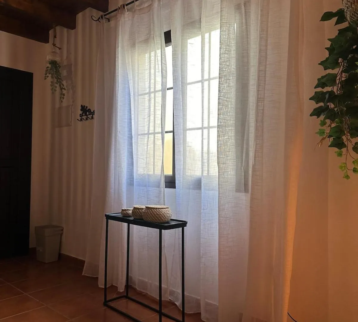 Cozy Canarian Guesthouse With Large Garden Teguise  0*, Teguise (Lanzarote)